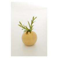 KARE Design Zlatá keramická váza Goldy 8cm