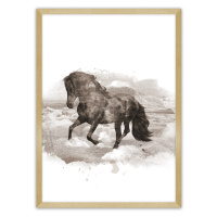 Dekoria Plakát Horse, 30 x 40 cm, Volba rámku: Zlatý