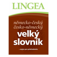 Německo-český, česko-německý velký slovník ...nejen pro překladatele