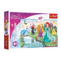 TREFL Seznamte se s Disney princeznami 60 dílků