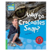 Cambridge Factbooks 3 Why Do Crocodiles Snap? Cambridge University Press