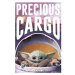 Plakát Star Wars: The Mandalorian - Precious Cargo (142)