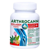 Arthrocann oOlagen Forte + vitamin komplex 60 tb