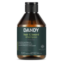 DANDY Beard & Hair Shampoo 300 ml