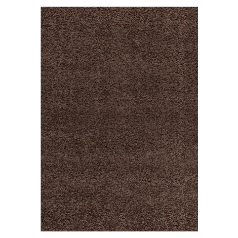 Ayyildiz koberce Kusový koberec Dream Shaggy 4000 brown - 60x110 cm