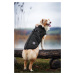 Vsepropejska Achar zimní bunda pro psa s postrojem Barva: Černá, Délka zad (cm): 49, Obvod hrudn