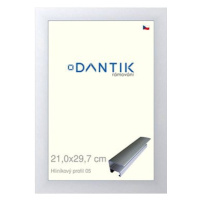 DANTIK rámeček 21 × 29,7, ALU profil 7005 Stříbrný matný sklo čiré