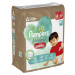 PAMPERS Kalhotky plenkové Harmonie Baby vel. 4, 22 ks, 9kg-15kg