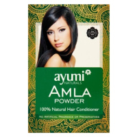 Ayumi Práškový kondicionér Amla 100 g