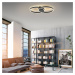 Q-Smart-Home Paul Neuhaus Q-MARKO LED stropní světlo, 2x kulaté