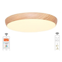 LED Stmívatelné stropní svítidlo LED/48W/230V 2700-6500K Wi-Fi Tuya + DO