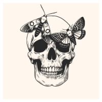 Ilustrace Hand drawn human skull head butterfly, Julia Solodukhina, 40 × 40 cm