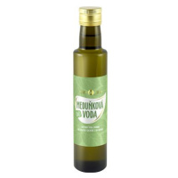 PURITY VISION Bio Meduňková voda 250 ml