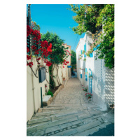 Fotografie Beautiful alley street in greece style, Greola84, 26.7 × 40 cm