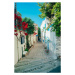 Fotografie Beautiful alley street in greece style, Greola84, 26.7 × 40 cm