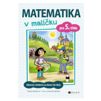 Matematika v malíčku pro 5. třídu Fragment