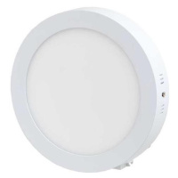 LED Stropní svítidlo LED/12W/230V