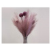 Umělá květina Pampas tráva 77 cm, růžová