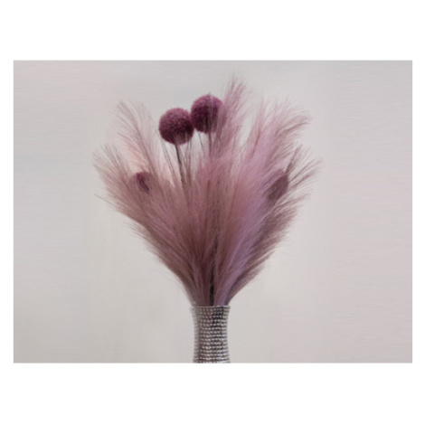 Umělá květina Pampas tráva 77 cm, růžová Asko