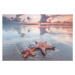 Fotografie Starfish on beach, IvanMikhaylov, 40 × 26.7 cm