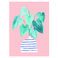 Ilustrace Houseplant in stripey vase, Laura Irwin, 30 × 40 cm