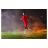 Fotografie Football match celebration, John Lamb, 40 × 26.7 cm