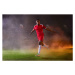 Umělecká fotografie Football match celebration, John Lamb, (40 x 26.7 cm)