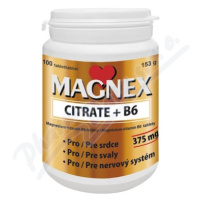 Magnex citrate 375mg+B6 tbl.100