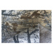 Berfin Dywany Kusový koberec Zara 9662 Multicolor - 120x180 cm