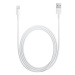 iPhone MD818 originální USB kabel / Lightning 1M white