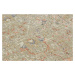 Nouristan - Hanse Home koberce Kusový koberec Cairo 105594 Sues Cream – na ven i na doma - 80x20