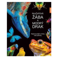 Rajčatová žába a modrý drak