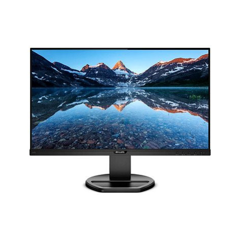 24" Philips 243B9