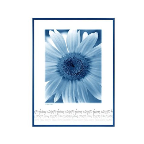TRADAG Fotorámeček 70 × 100 cm, modrý