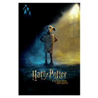 Plakát, Obraz - Harry Potter - Dobby, 80x120 cm