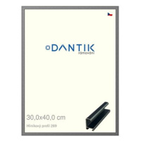 DANTIK rámeček 30 × 40, ALU profil 7269 Platina matný plexi čiré