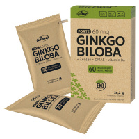 VITAR Ginkgo biloba 60mg + DMAE +Vitamín B6 EKO 60 kapslí