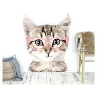 DEKORACJAN Samolepka na zeď - kotě v brýlích Velikost: M