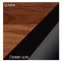 ArtCross Skříň MAX 05 Barva: Švestka / černý lesk