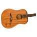 Fender Highway Series Dreadnought RW MAH