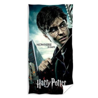 CARBOTEX Harry Potter nebezpečí číhá všude 70×140 cm