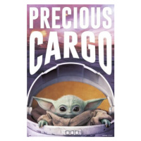 Plakát Star Wars: The Mandalorian - Precious Cargo