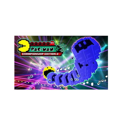 PAC-MAN Championship Edition 2 (PC) DIGITAL