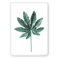 Dekoria Plakát  Leaf Emerald Green, 30 x 40 cm, Ramka: Biała