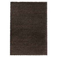 Tmavě hnědý koberec 200x290 cm Fluffy – Ayyildiz Carpets