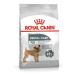 Royal Canin Mini Dental Care 1 kg