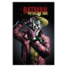Umělecký tisk Batman - The Killing Joke, (26.7 x 40 cm)