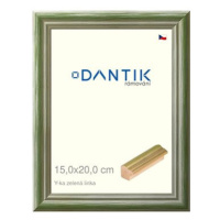 DANTIK rámeček 15 × 20, Y-ka zelený linka sklo čiré