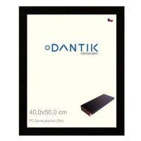 DANTIK rámeček 40 × 50, FC černý plochý plexi čiré