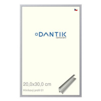 DANTIK rámeček 20 × 30, ALU profil 7001 Stříbrný matný sklo čiré